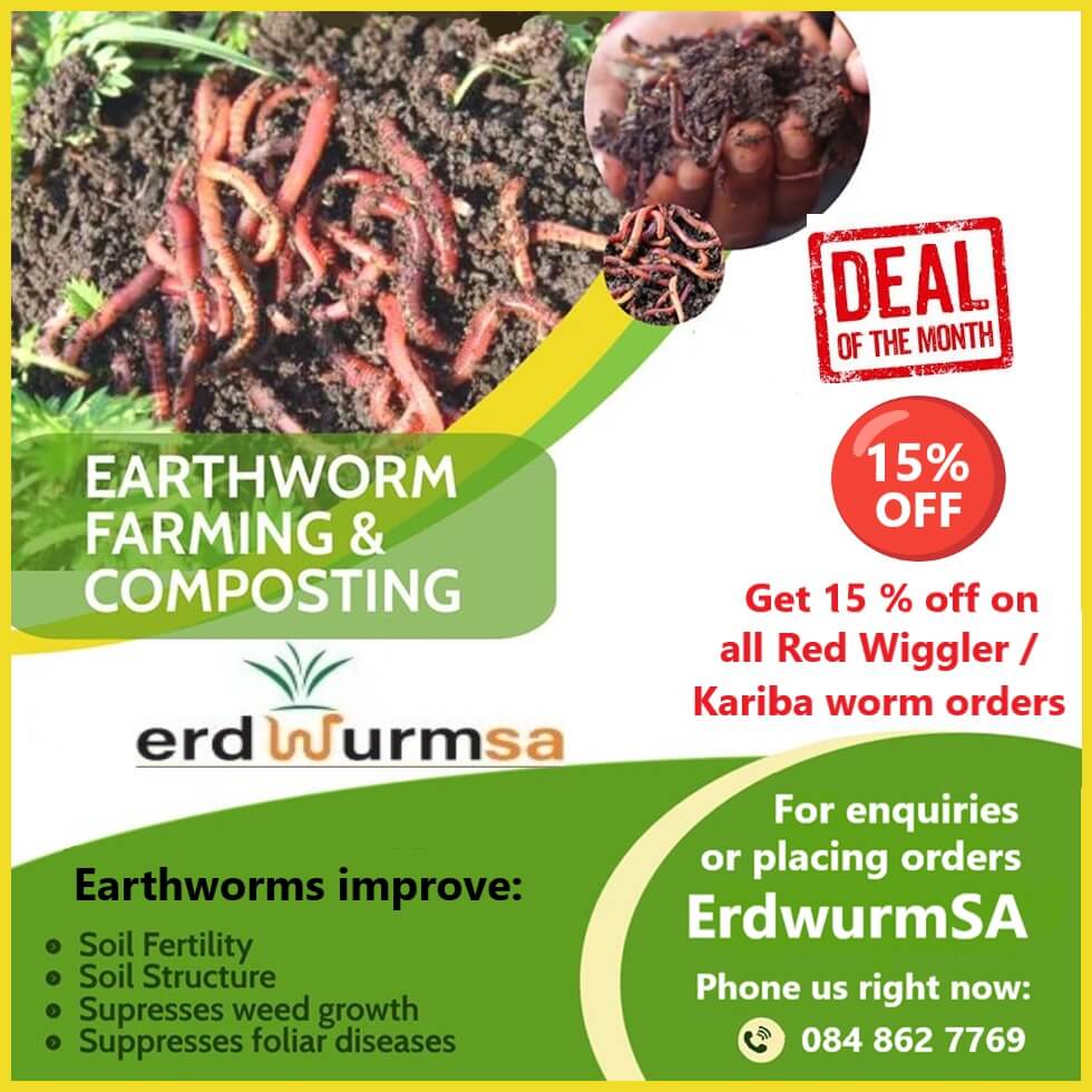 ErdwurmSA Pretoria Special Offers